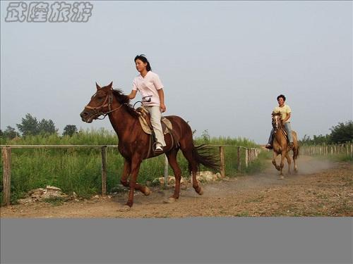 仙女山跑马