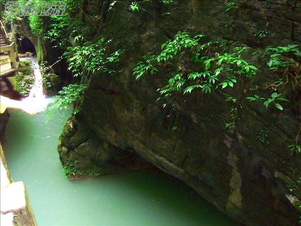 龙水峡地缝景点之“玉龟出山”