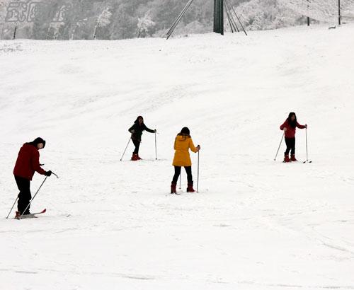 仙女山雪景