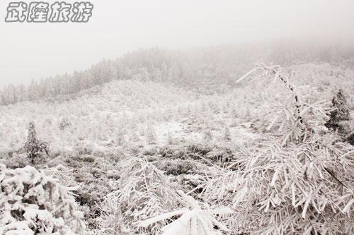 仙女山雪景