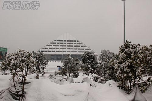 仙女山雪景