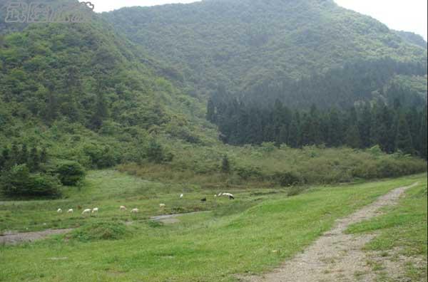 仙女山梦幻谷