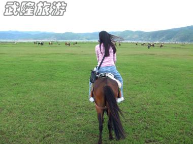 仙女山骑马