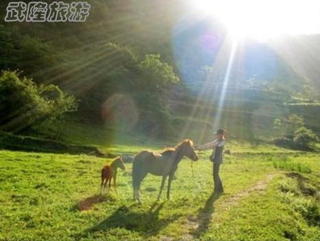 武隆徒步游线路大锦集