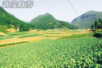 木根村负氧离子生态旅游自驾线路攻略