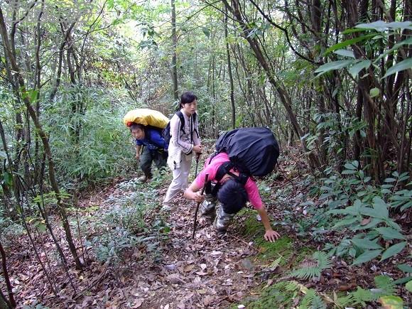 仙女山梦幻谷徒步指南