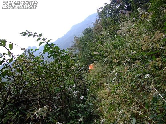 仙女山梦幻谷徒步指南