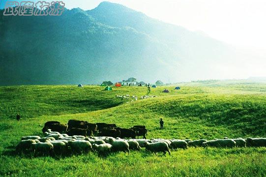 重庆武隆仙女山旅游攻略