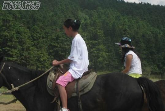 夏季游武隆仙女山 给心灵一次完美旅程