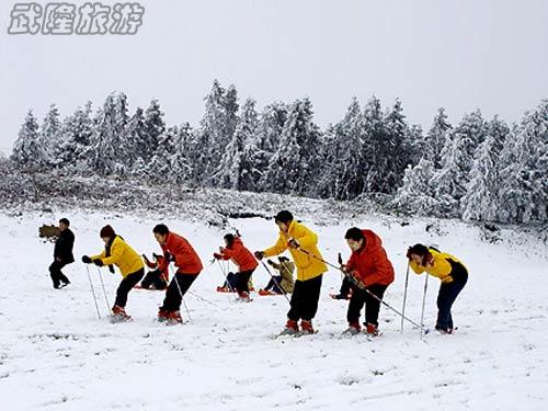 重庆武隆仙女山门票价格是多少？