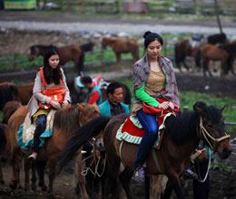 五一仙女山骑马游