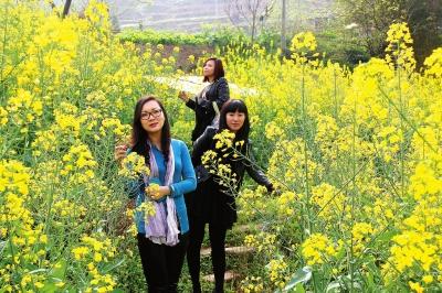 庙垭油菜花乡村旅游季13日开幕