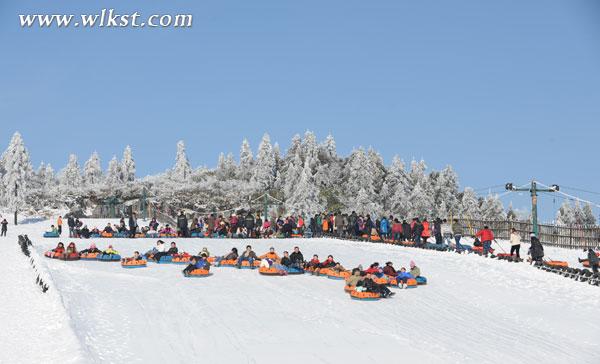 仙女山冰雪一日游，仅需98元！一年仅此一次！