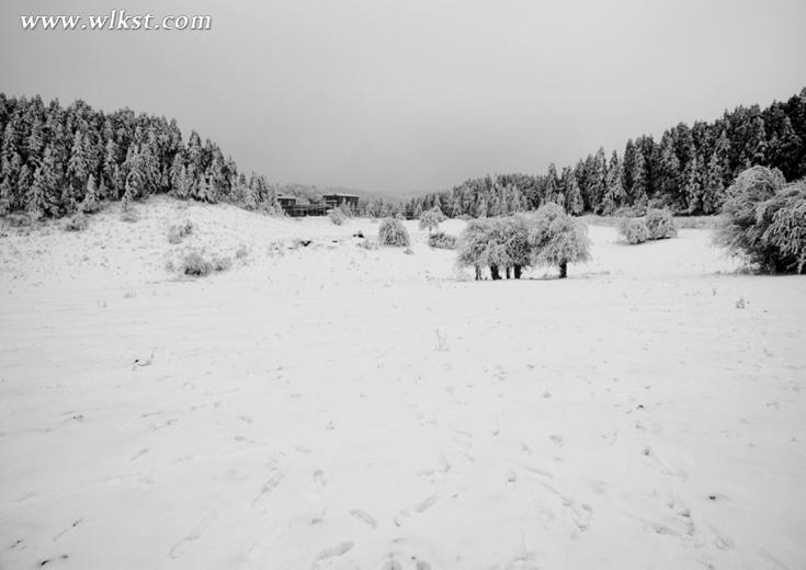 奔跑吧 第二届仙女山雪地光猪跑“裸”跑来袭