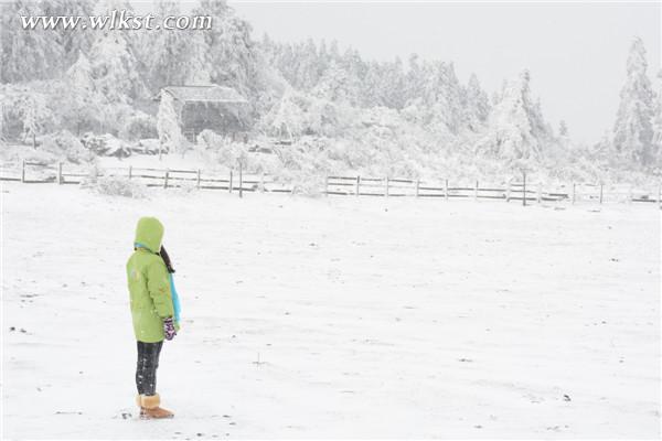 仙女山雪景