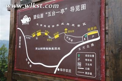 茶山导览图