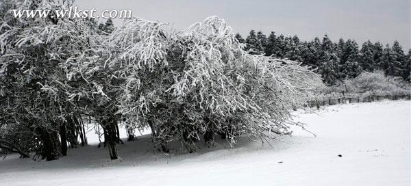 一下雪，仙女山便成了另一个天堂……