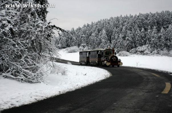 一下雪，仙女山便成了另一个天堂……