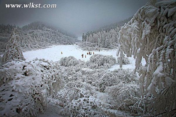 宝贝去哪儿？重庆仙女山堆雪人大赛邂逅冰雪奇缘