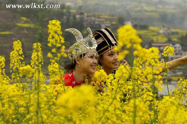 庙垭油菜花旅游节