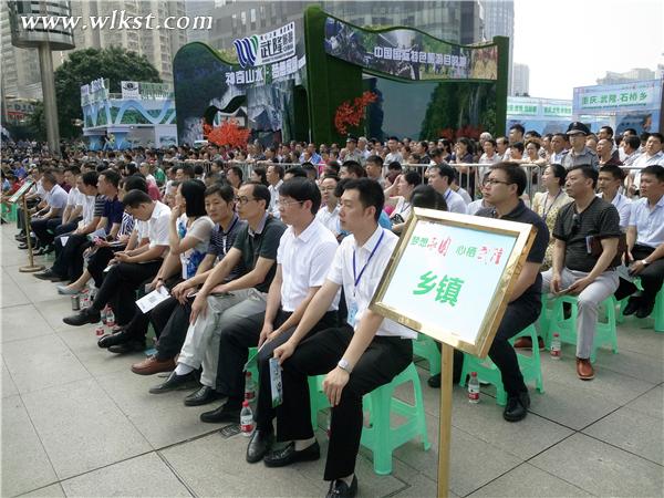 出席武隆首届乡村旅游开幕式的各乡镇企业 李琼/摄