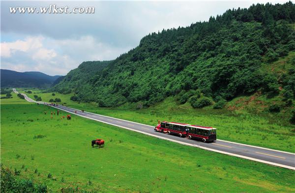 武隆  仙女山  武隆旅游 