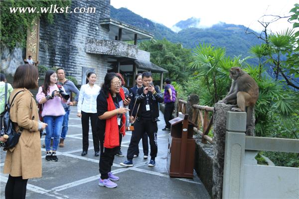  嘉宾参察游览芙蓉洞景区