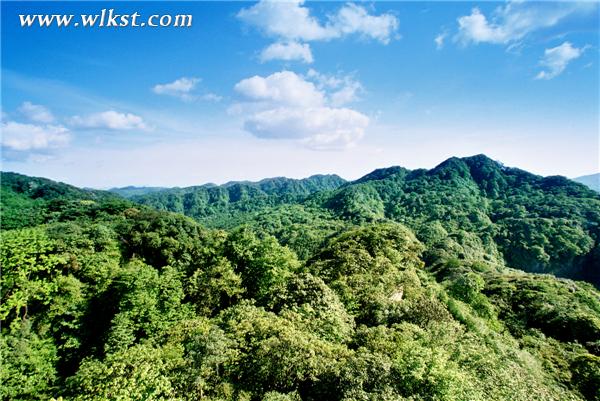 白马山原始森林 武隆乡村旅游