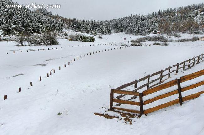 武隆仙女山再降大雪 积雪期即将到来