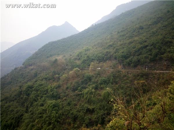 在景区公路上写生的游客