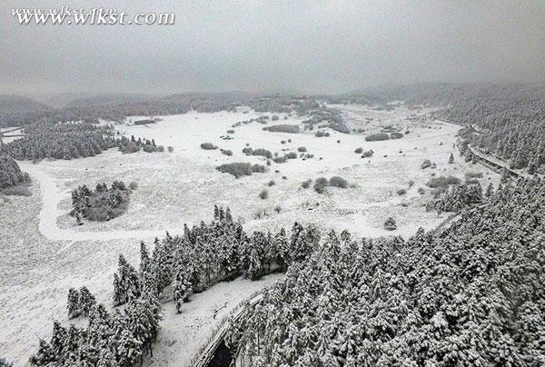 仙女山骤降大雪 三八节陪她一起到“白头”