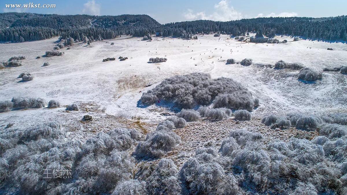 雪景