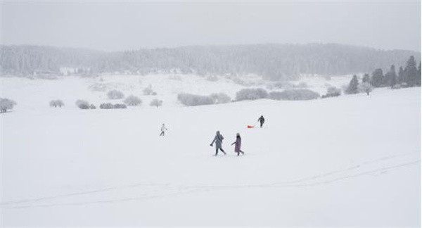 苍茫白雪