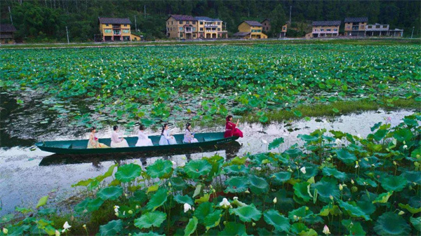 大田湿地人家荷花池