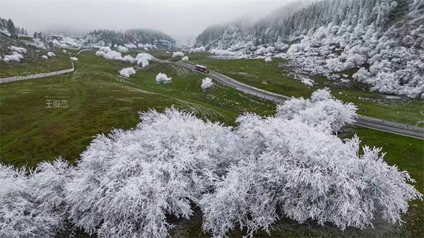 雪景