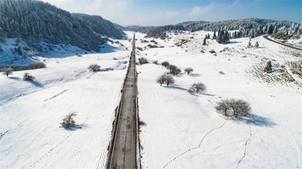 仙女山最美公路雪景