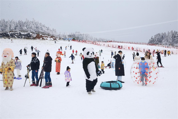 雪上活动