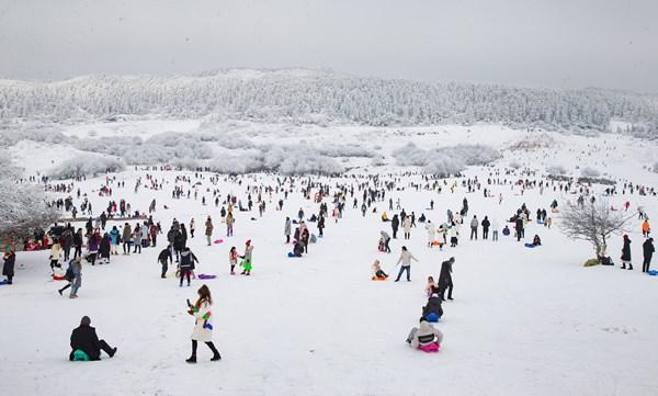 众多游客在仙女山大草原玩雪