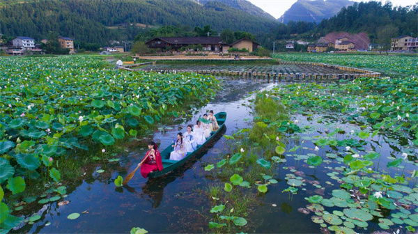 大田湿地人家柳叶舟