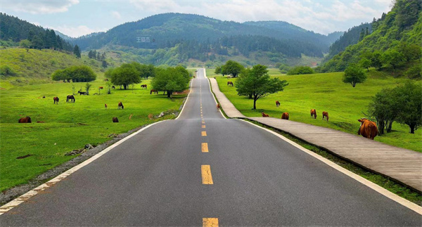 《骄阳伴我》取景地仙女山最美公路